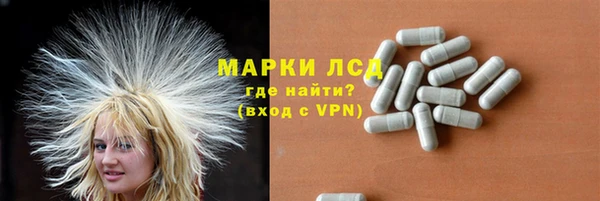 apvp Алексин