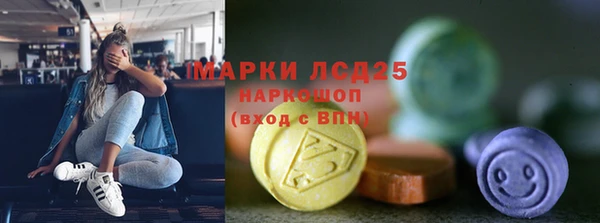 apvp Алексин