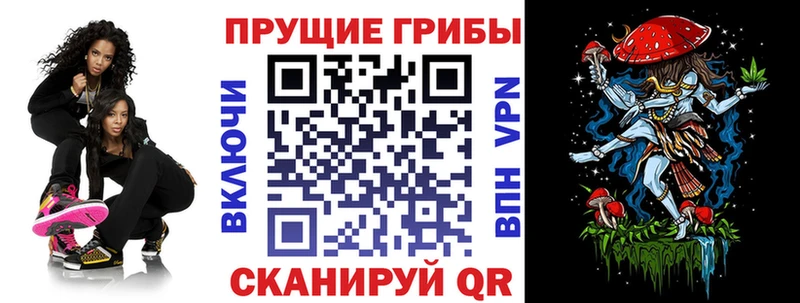 Галлюциногенные грибы Psilocybe  где найти наркотики  Жигулёвск 